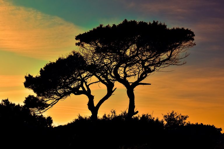 cyprus