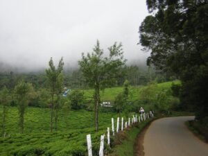 Enchanting-Ooty