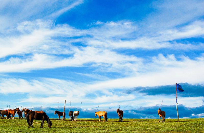 Grasslands of Mongolia