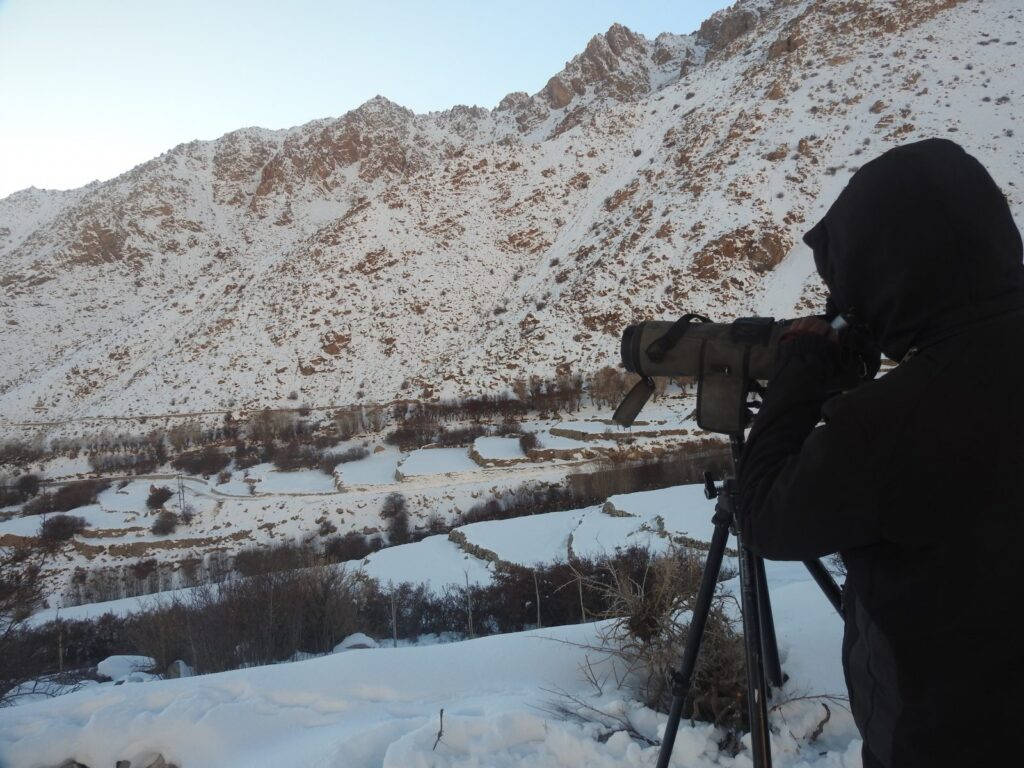 Jigmet peering through his scope at dawn, scouring the mountains for sign of life